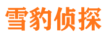 池州市婚姻调查